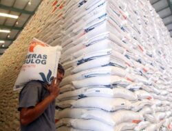 Indonesia Pecahkan Rekor Stok Beras Tertinggi 57 Tahun Terakhir, Tembus 3,5 Juta Ton Tanpa Impor