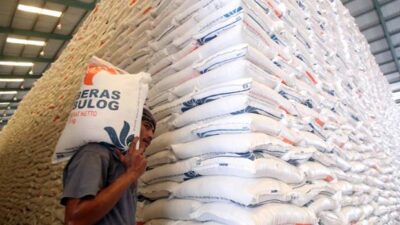 Indonesia Pecahkan Rekor Stok Beras Tertinggi 57 Tahun Terakhir, Tembus 3,5 Juta Ton Tanpa Impor